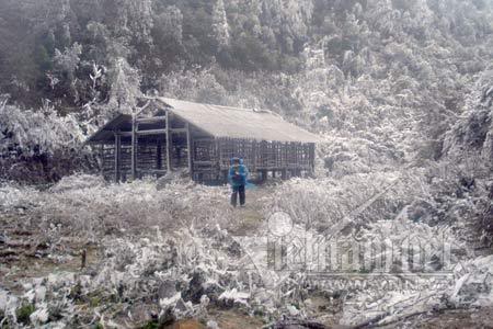 VIỆN SỐT RÉT - KÝ SINH TRÙNG - CÔN TRÙNG QUY NHƠN