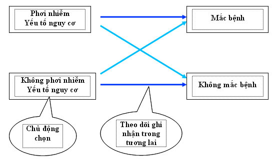 Vien Sot ret Ky Sinh Trung - Con trung Quy Nhon